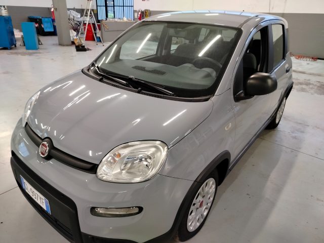 FIAT Panda usata, con Servosterzo