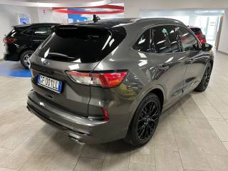 FORD Kuga usata, con Fendinebbia