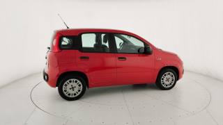 FIAT Panda usata 19