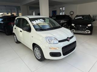 FIAT Panda usata, con Airbag Passeggero
