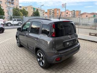 FIAT Panda usata, con Climatizzatore