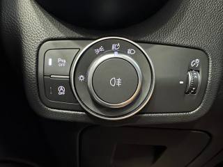 ALFA ROMEO Stelvio usata, con Airbag testa