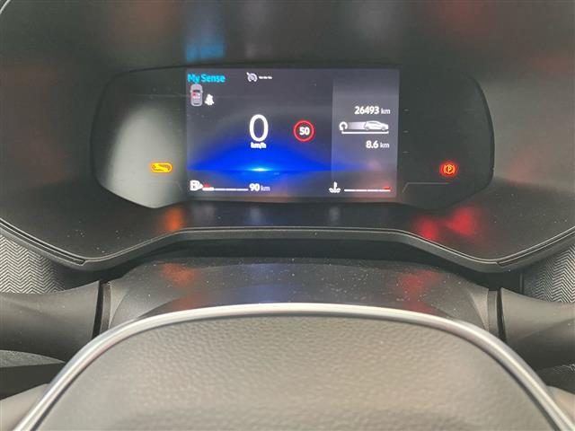 RENAULT Clio usata 14