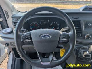 FORD Transit usata, con Bracciolo