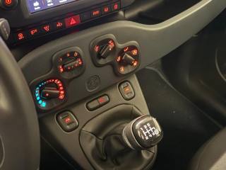 FIAT Panda Cross usata, con Servosterzo