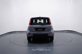 FIAT New Panda usata, con USB