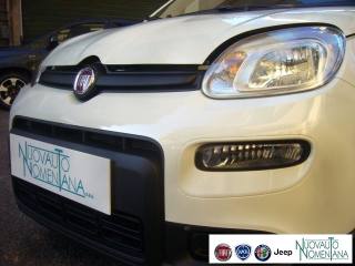 FIAT Panda usata, con Alzacristalli elettrici