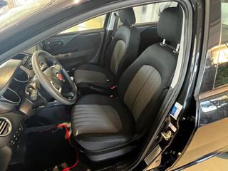 FIAT Punto usata 12