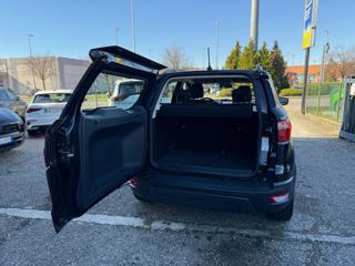 FORD EcoSport usata, con Airbag testa