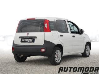 FIAT Panda usata, con Airbag Passeggero