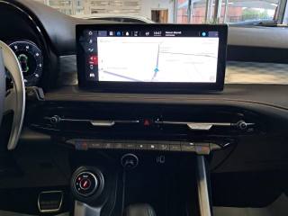 ALFA ROMEO Tonale usata, con Cruise Control