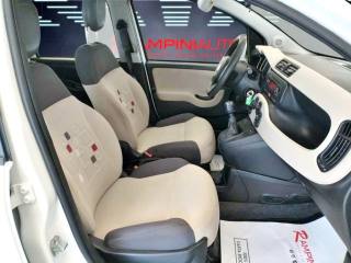 FIAT Panda usata 15