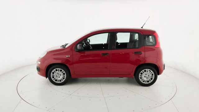 FIAT Pandina usata, con Airbag Passeggero