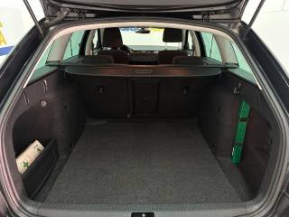 SKODA Octavia usata, con Luce d