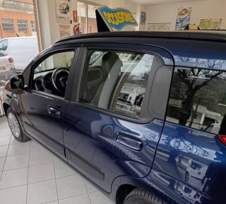 FIAT Panda usata, con Airbag Passeggero