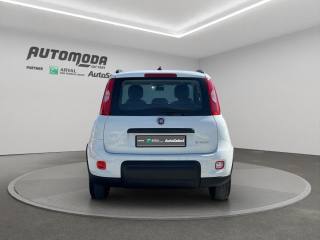 FIAT Panda usata, con Autoradio
