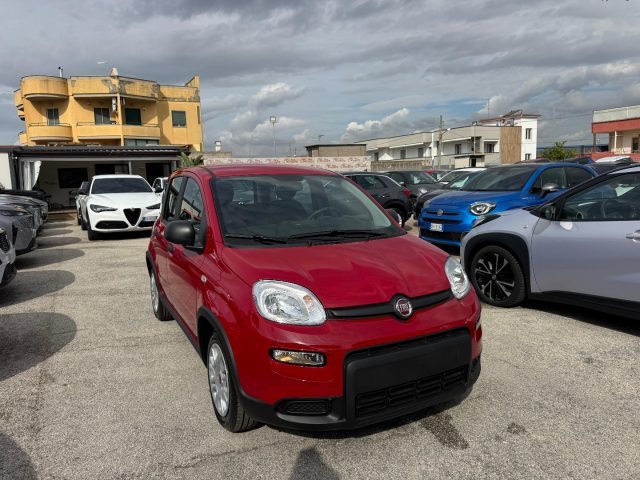 FIAT Panda usata, con Alzacristalli elettrici