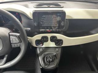 FIAT Panda usata 12