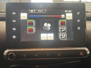 CITROEN C4 Cactus usata, con Cruise Control
