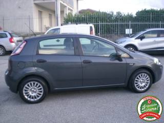 FIAT Punto usata, con Servosterzo
