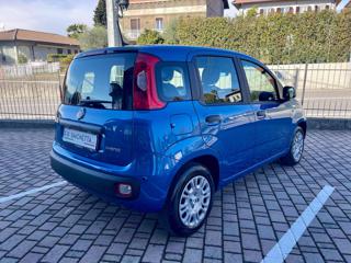 FIAT Panda usata, con Alzacristalli elettrici