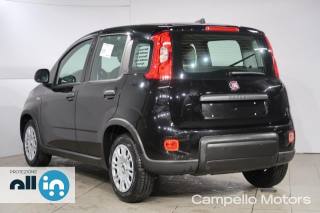 FIAT Panda usata 2
