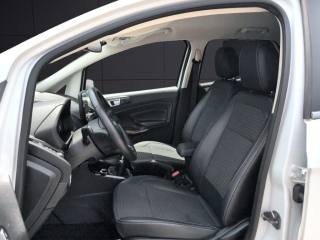 FORD EcoSport usata, con Cruise Control