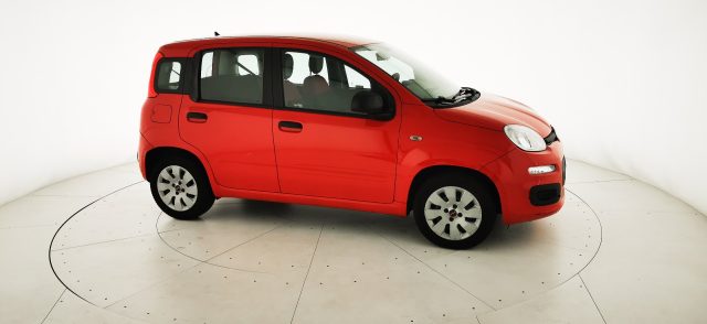 FIAT Panda usata 19