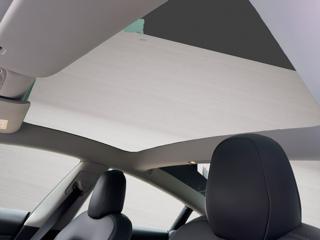 TESLA Model 3 usata, con ESP