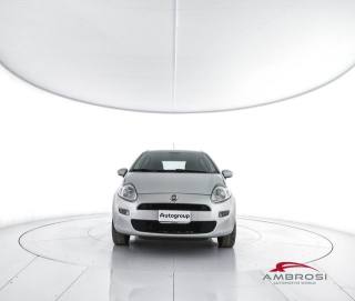 FIAT Punto usata 4