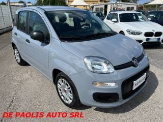FIAT New Panda usata, con Airbag