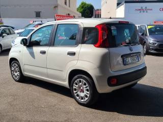 FIAT Panda usata, con Climatizzatore