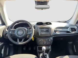 JEEP Renegade usata 11
