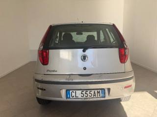 FIAT Punto usata 2