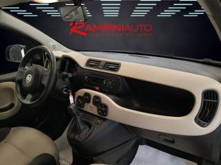 FIAT Panda usata 17