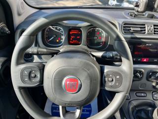FIAT Panda Cross usata, con Chiusura centralizzata