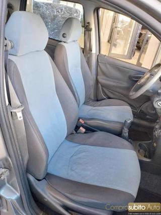 FIAT Punto usata 16