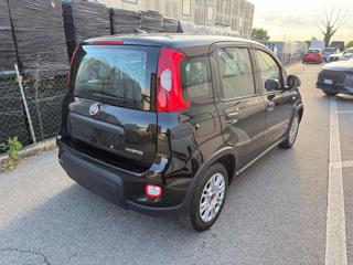 FIAT Panda usata, con Airbag Passeggero