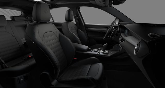 ALFA ROMEO Stelvio usata, con Chiusura centralizzata
