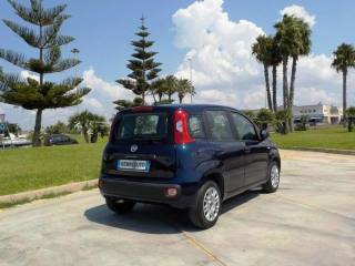 FIAT Panda usata, con Airbag Passeggero