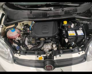 FIAT New Panda usata 22