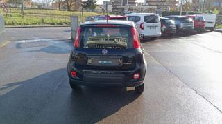 FIAT Panda usata, con Antifurto