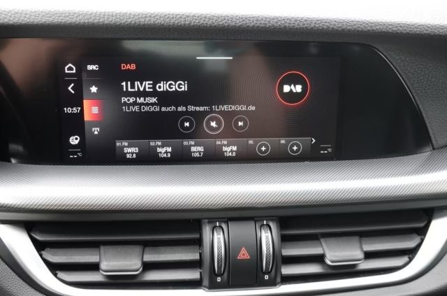 ALFA ROMEO Stelvio usata, con ESP
