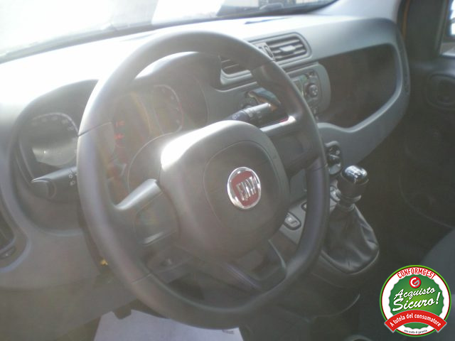 FIAT Panda usata 13