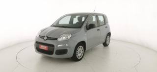 FIAT Panda usata 2
