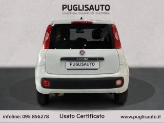 FIAT Panda usata, con Cerchi in lega