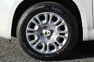 FIAT Panda usata, con Cruise Control