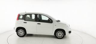 FIAT Panda usata 50