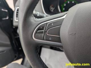 RENAULT Megane usata 31