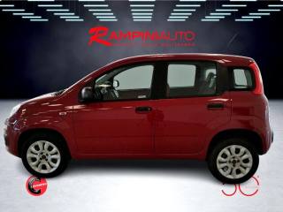 FIAT Panda usata 10